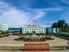 警示凍結下，某輪胎企業上市路難行